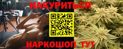 стаф Малгобек
