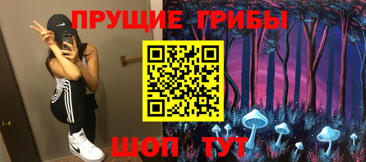 Галлюциногенные грибы Cubensis Добрянка