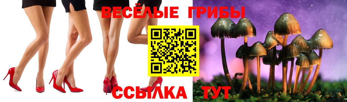 Галлюциногенные грибы прущие грибы  Галлюциногенные грибы Psilocybe  где можно купить наркотик  Вход с VPN  Добрянка 